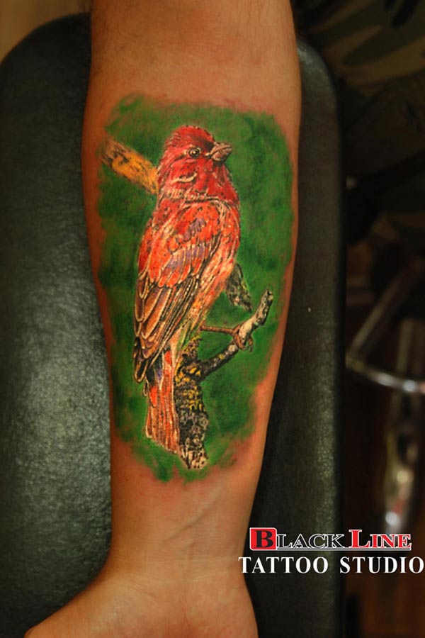 Bird Tattoo Marmaris